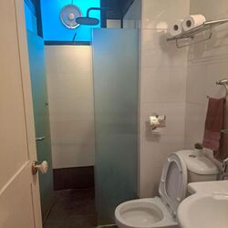 Simei Green Condominium (D18), Condominium #460676331